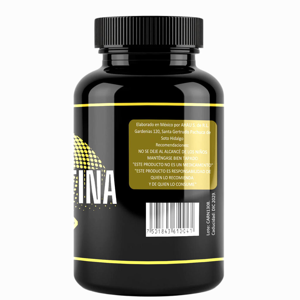 L-CARNITINA PREMIUM 90 cápsulas